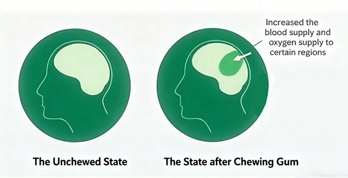 основа жевательной резинки