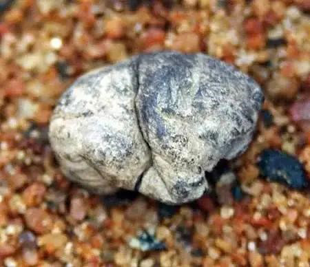 основа жевательной резинки